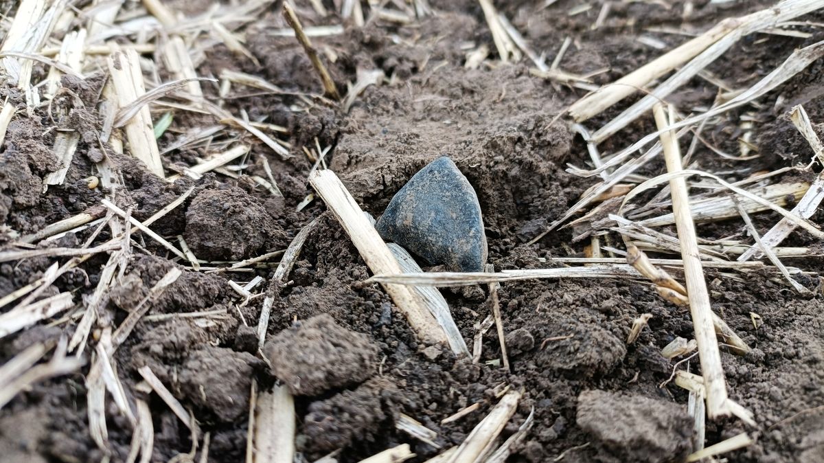 Úspěch českých výpočtů: Meteorit Pusté Úľany nalezen v předpovězené oblasti